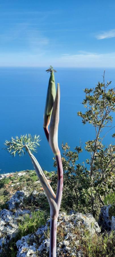 Appartamento Mare E Monti بيمونت المظهر الخارجي الصورة